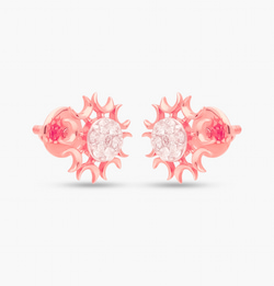 The Decorative Arc Earrings